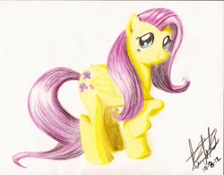 Size: 2183x1700 | Tagged: safe, artist:fizzyrox, fluttershy, pegasus, pony, female, mare, raised hoof, signature, solo, traditional art