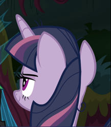 Size: 699x805 | Tagged: safe, screencap, mean twilight sparkle, the mean 6, cropped, evil grin, grin, rear view, smiling, solo