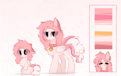 Size: 1396x875 | Tagged: safe, artist:little-sketches, oc, oc:morning radiance, pegasus, pony, bell, bell collar, chest fluff, collar, eye clipping through hair, female, filly, mare, reference sheet, solo, two toned wings