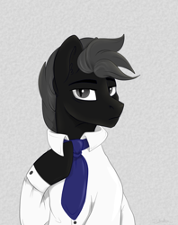 Size: 1200x1514 | Tagged: safe, artist:rutkotka, oc, oc only, earth pony, pony, clothes, slit eyes, solo