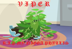 Size: 1046x719 | Tagged: safe, phyllis, pony, viper, album cover, plant, potted plant