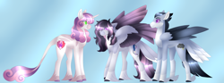 Size: 6688x2500 | Tagged: safe, artist:clay-bae, rumble, sweetie belle, oc, oc:silver lining (clay-bae), pegasus, pony, alternate design, feathered fetlocks, female, high res, male, mare, offspring, parent:rumble, parent:sweetie belle, parents:rumbelle, rumbelle, shipping, straight, tail feathers, unshorn fetlocks
