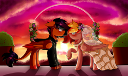 Size: 3600x2160 | Tagged: safe, artist:xprismxx, oc, oc only, oc:sydney, dracony, hybrid, pegasus, pony, clothes, dress, female, mare, suit, sunset, wedding dress