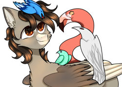 Size: 3084x2212 | Tagged: safe, artist:lama-fyrsenya9, derpibooru import, oc, oc only, oc:xor, bird, blue jay, flamingo, raven (bird), sphinx, bluebird, brown eyes, cat tail, chest fluff, floppy ears, fluffy, happy, looking up, male, simple background, smiling, solo, sphinx oc, transparent background, wings