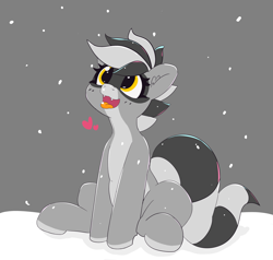 Size: 3467x3301 | Tagged: safe, artist:pabbley, oc, oc:bandy cyoot, hybrid, pony, raccoon, raccoon pony, happy, heart, open mouth, pale belly, sitting, snow, snowfall, solo, tongue out, winter