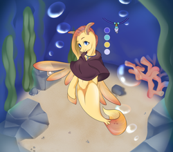 Size: 1956x1720 | Tagged: safe, artist:circle edward, oc, oc only, oc:gill, hippogriff, seapony (g4), clothes, jewelry, necklace, reference sheet, solo, the daughter of zarz, zarz