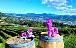 Size: 2066x1317 | Tagged: safe, artist:hihin1993, berry punch, berryshine, barrel, hill, irl, japan, photo, plushie, scenery, self ponidox, solo, vineyard