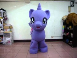 Size: 480x360 | Tagged: safe, twilight sparkle, twilight sparkle (alicorn), alicorn, irl, looking at you, photo, solo, taiwan