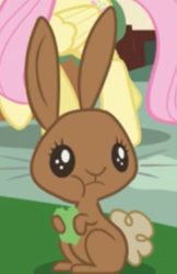 Size: 400x619 | Tagged: safe, screencap, rabbit, applebuck season, animal, cropped, cute, eating, herbivore, solo focus