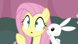 Size: 1920x1080 | Tagged: safe, screencap, angel bunny, fluttershy, pegasus, pony, rabbit, a trivial pursuit, animal, reaction image