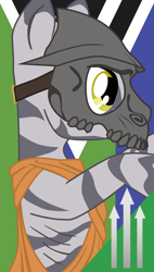 Size: 900x1583 | Tagged: safe, artist:aaronmk, zebra, fallout equestria, clothes, mask, robes, vector