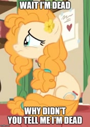 Size: 500x711 | Tagged: safe, edit, edited screencap, screencap, pear butter, pony, the perfect pear, caption, cropped, crying, image macro, solo, star vs the forces of evil, text