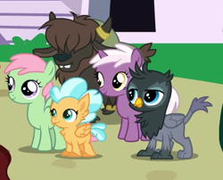 Size: 399x322 | Tagged: safe, screencap, griffon, hippogriff, pegasus, pony, unicorn, yak, the last problem, animation error, background griffon, background hippogriff, background pony, calf, chickub, cropped, female, filly, fledgeling, foal, gio, mallow flower, spearmint gust, sunspray, yak calf, yarborough