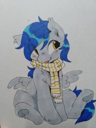 Size: 960x1280 | Tagged: safe, artist:apple_nettle, oc, oc only, pegasus, pony, blushing, chest fluff, clothes, cute, ear fluff, leg fluff, scarf, sitting, solo, spread wings, tongue out, traditional art, underhoof, wings