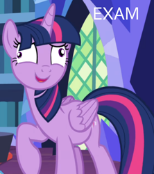 Size: 800x900 | Tagged: safe, edit, edited screencap, screencap, twilight sparkle, twilight sparkle (alicorn), alicorn, pony, shadow play, cropped, derp, solo