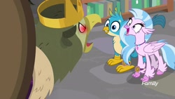 Size: 1920x1080 | Tagged: safe, derpibooru import, screencap, gallus, king grover, silverstream, classical hippogriff, griffon, hippogriff, a matter of principals, bookshelf, crown, crown of grover, cute, diastreamies, discovery family logo, duo, female, jewelry, library, male, necklace, open beak, red eyes, red eyes take warning, regalia