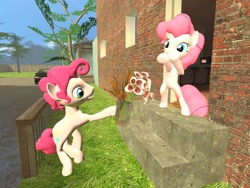 Size: 1024x768 | Tagged: safe, artist:horsesplease, bubble berry, pinkie pie, earth pony, pony, 3d, bipedal, bubblepie, female, flower, gmod, male, rule 63, self ponidox, selfcest, sfm pony, shipping, straight