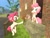 Size: 1024x768 | Tagged: safe, artist:horsesplease, bubble berry, pinkie pie, earth pony, pony, 3d, bipedal, bubblepie, female, flower, gmod, male, rule 63, self ponidox, selfcest, sfm pony, shipping, straight