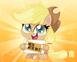 Size: 1246x1012 | Tagged: safe, applejack, earth pony, pony, my little pony: pony life, anti-drug, applejack's hat, cowboy hat, drugs, female, hat, mare, meth, pony life applejack's sign, sign, smiling, solo, south dakota, straw in mouth, unshorn fetlocks