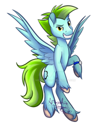 Size: 1024x1178 | Tagged: safe, artist:aresshia, oc, oc:curly brackets, pegasus, commission, golden eyes, simple background, solo, transparent background