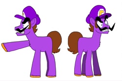 Size: 1024x683 | Tagged: safe, artist:cailauniverse, earth pony, pony, ponified, solo, super mario bros., waluigi, waluigi's hat