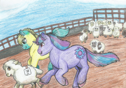 Size: 1645x1149 | Tagged: safe, artist:69beas, oc, oc only, oc:neon eclipse, earth pony, pony, sheep, unicorn, colored hooves, earth, female, happy, hoof fluff, male, mare, number, open mouth, running, scared, sports, stallion, traditional art