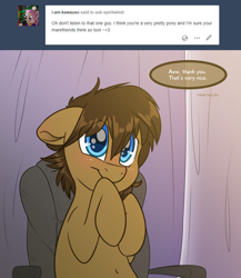 Size: 2000x2300 | Tagged: safe, artist:fluffyxai, oc, oc only, oc:spirit wind, pony, ask, belly button, blushing, cute, male, ocbetes, smiling, speech bubble, stallion, tumblr, tumblr:ask spirit wind