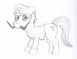 Size: 876x681 | Tagged: safe, artist:plufim, pony, ponified, super mario bros., traditional art, waluigi