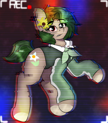 Size: 694x790 | Tagged: safe, earth pony, pony, affect, error, glitch, solo