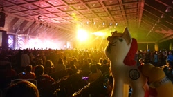 Size: 2048x1152 | Tagged: safe, oc, oc:miss libussa, human, bronycon, dance party, united states