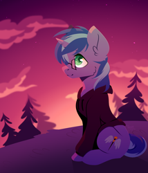 Size: 1200x1400 | Tagged: safe, artist:hazepages, oc, pony, unicorn, clothes, glasses, hoodie, male, solo, stallion, sunset