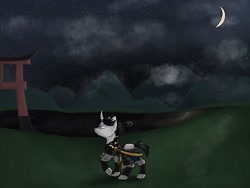 Size: 2048x1536 | Tagged: safe, artist:sue--boo, oc, oc only, oc:shiro reisu, pony, unicorn, armor, japanese, katana, night, samurai, scenery, sword, weapon