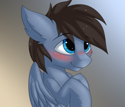 Size: 3500x3000 | Tagged: safe, artist:snowstormbat, oc, oc:luckpirate, pegasus, blushing, bust, gradient background, male, portrait, smiling, stallion