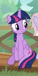 Size: 344x684 | Tagged: safe, screencap, twilight sparkle, twilight sparkle (alicorn), alicorn, pony, the point of no return, cropped, cute, fence, offscreen character, sitting, solo focus, tree, twiabetes