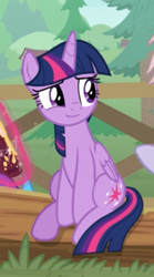 Size: 314x563 | Tagged: safe, screencap, twilight sparkle, twilight sparkle (alicorn), alicorn, pony, the point of no return, book, cropped, cute, fence, sitting, smiling, solo, tree, twiabetes