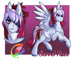 Size: 5000x4000 | Tagged: safe, artist:jeshh, oc, oc:sorrel hues, pegasus, pony, absurd resolution, chest fluff, eyepatch, female, magical lesbian spawn, mare, offspring, parent:nurse redheart, parent:rainbow dash, parents:rainheart, solo