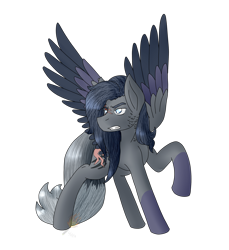 Size: 2068x2261 | Tagged: safe, artist:midnightfire1222, oc, oc:wild soul, pegasus, pony, angry, feirce, intimidate, request, solo