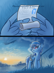 Size: 1200x1600 | Tagged: safe, artist:ravistdash, derpibooru exclusive, oc, oc:ravist, pegasus, pony, comic:about me, chinese, cloud, looking up, paper, plane, sky, smiling, solo, standing, sunset, translation