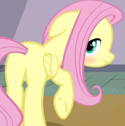 Size: 694x698 | Tagged: safe, edit, edited screencap, screencap, fluttershy, pegasus, pony, filli vanilli, blushing, cropped, female, floppy ears, flutterbutt, mare, profile, solo