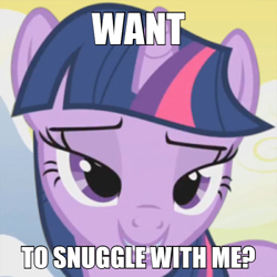 Size: 600x600 | Tagged: safe, derpibooru import, edit, edited screencap, screencap, twilight sparkle, unicorn twilight, pony, unicorn, bedroom eyes, bronybait, caption, cute, image macro, looking at you, meme, smiling, snuggles?, solo, text, twiabetes