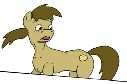 Size: 966x640 | Tagged: safe, derpibooru import, oc, oc only, oc:chocolate chips, pony, looking back, male, simple background, solo, white background