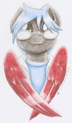 Size: 783x1342 | Tagged: safe, artist:ravenpuff, oc, oc:scarlett quill, pegasus, pony, bust, glasses, male, portrait, solo, stallion, traditional art