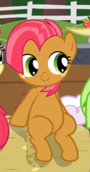 Size: 285x545 | Tagged: safe, screencap, babs seed, pony, apple family reunion, adorababs, apple family member, cropped, cute, hay bale, sitting, solo