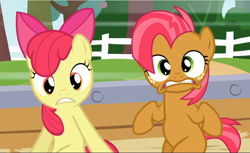 Size: 1542x941 | Tagged: safe, screencap, apple bloom, babs seed, earth pony, pony, apple family reunion, bow, cousins, cropped, duo, female, filly, freckles, hair bow, shocked, sitting, teeth