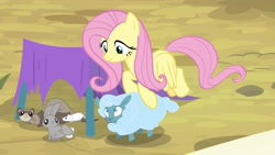 Size: 1920x1080 | Tagged: safe, screencap, fluttershy, pegasus, pony, rabbit, sheep, weasel, growing up is hard to do, animal, tiny ewes