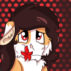 Size: 2000x2000 | Tagged: safe, artist:euspuche, oc, oc only, oc:liliya krasnyy, earth pony, bust, cheek fluff, chest fluff, female, flower, flower in mouth, fluffy, looking at you, mouth hold, portrait