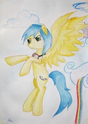 Size: 2590x3628 | Tagged: safe, artist:0okami-0ni, oc, oc only, cloudsdale, goggles, solo, traditional art