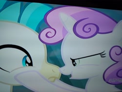 Size: 4160x3120 | Tagged: safe, screencap, sweetie belle, terramar, hippogriff, pony, seapony (g4), unicorn, surf and/or turf, angry eyes, determined, discovery family logo, female, happy, hoof on face, looking at each other, male, nose to nose, picture of a screen, seaponified, seapony sweetie belle, species swap