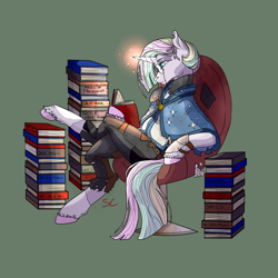 Size: 3000x3000 | Tagged: safe, artist:sourcherry, oc, pony, unicorn, armor, book, clothes, glasses, horn glowing, scholar, solo, unnamed oc