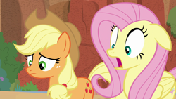 Size: 1920x1080 | Tagged: safe, screencap, applejack, fluttershy, earth pony, pegasus, pony, sounds of silence, duo, female, mare